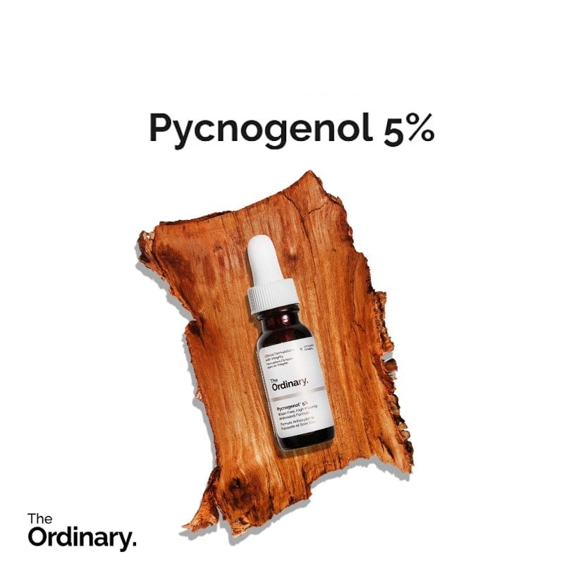 Pycnogenol 5% 15ml