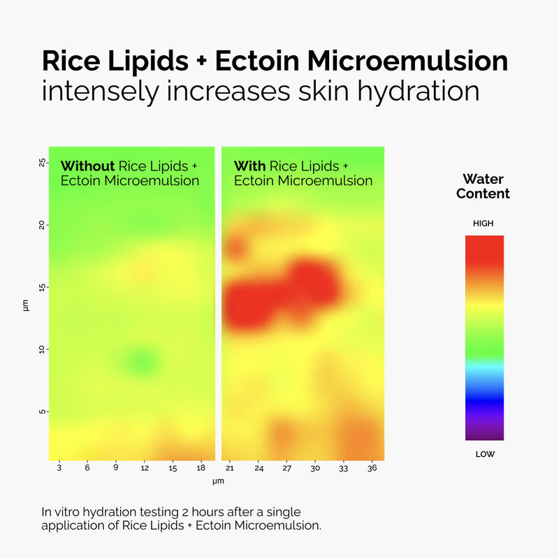 Rice Lipids+Ectoin Microemulsion Moisturizer | Barrier Repair Hydration